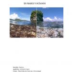 La acidificación y contaminación en mares y océanos (TRABAJO CLIMÁNTICA)_page-0001