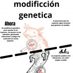 NO a la modificción genetica_page-0001
